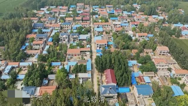 魅力曹县楼庄镇