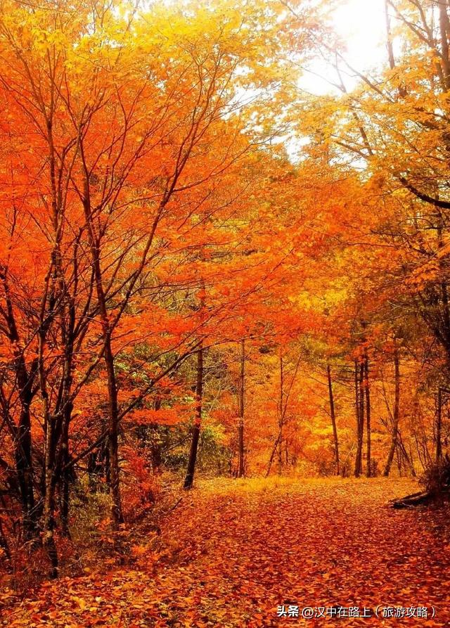 汉中中小学春秋假时间已定！亲子游好去处有这么多