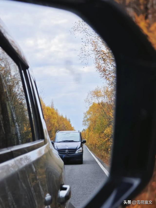 在深秋的根河邂逅驯鹿