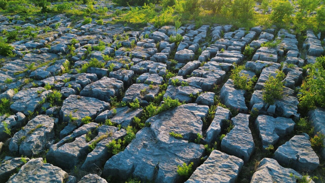 临沂春假旅行指南，请查收