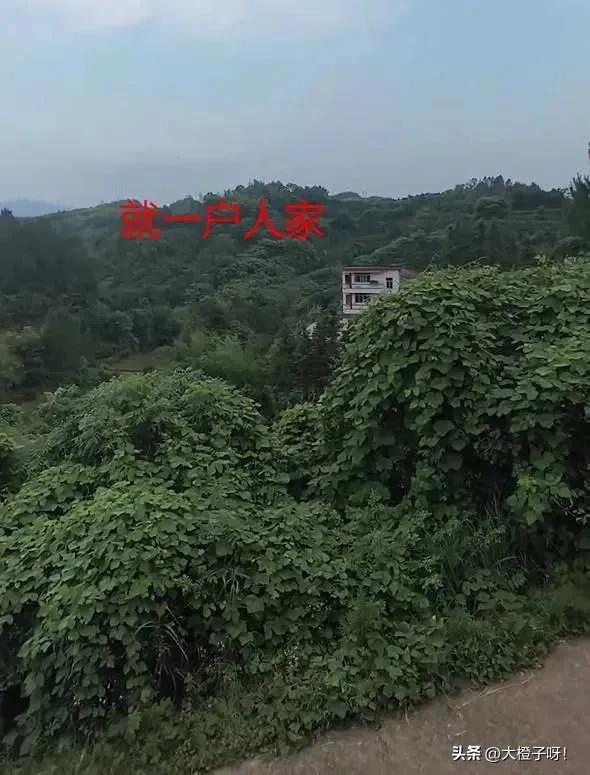 男子开10小时车回老家，在家门口坐10分钟，妻子：真搞不懂男人