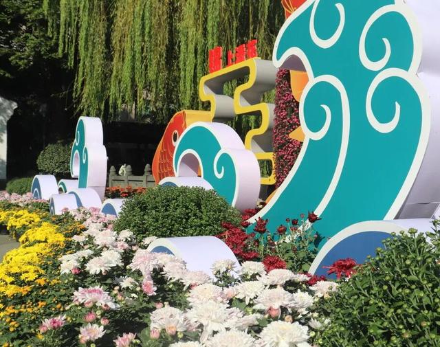 不愧是顶流！一大早就红了，人挤人持续好多天！萧山人家门口也有······