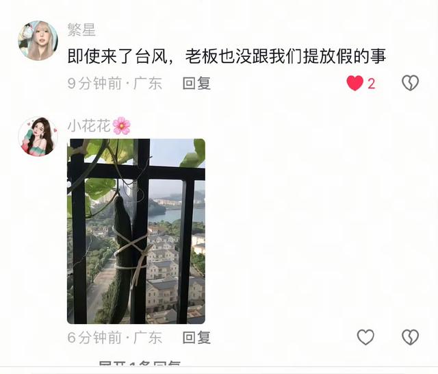 桦加沙来袭！广东人集体解锁隐藏技能？塑料袋秒变抗台风神器？