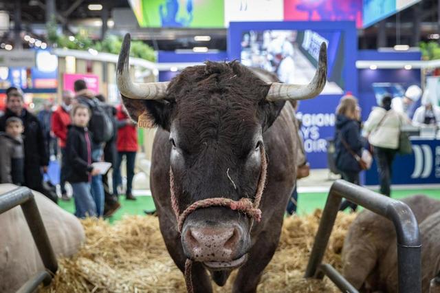 马克龙外访归国后，法国臭气熏天，农民在大街上喷粪抗议