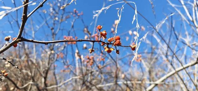 寻找长安石爷：为见第七尊石爷，在两个村遭遇惊险