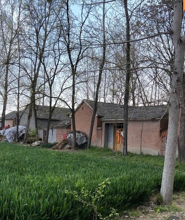 我在河南逛了逛，发现普通人的日子这样过