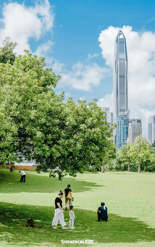 来深圳必走！一天看透城市的活力与浪漫
