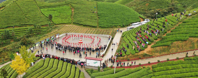 本地特色与茶旅融合
