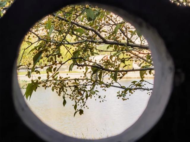 霜染秋深,向暖而行