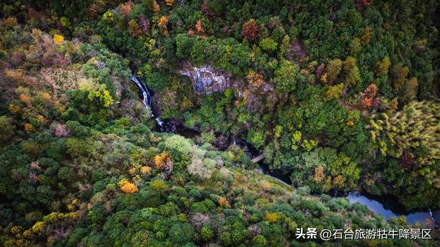 秋色泼染牯牛降，山水如画正当时