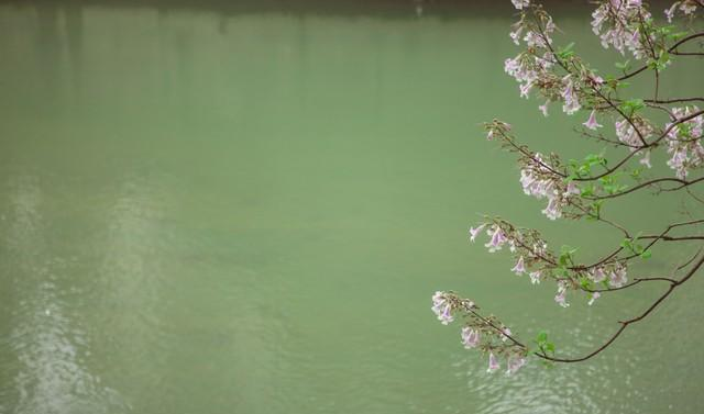 情人走到这一步就是缘分将尽的信号！