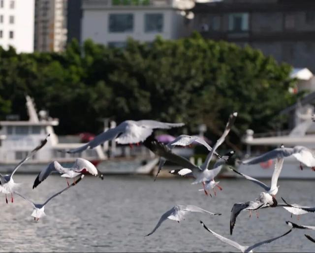 冬天在大理，要做这10件事！