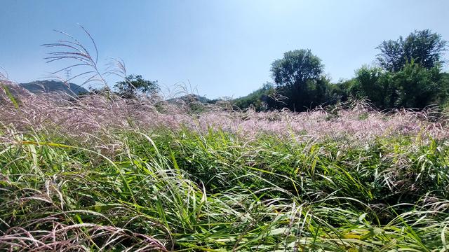 长峪村五峰山后山行记