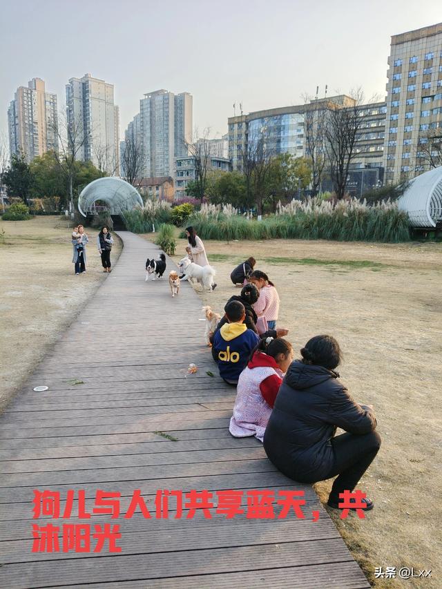 奇哉，蜀犬不吠日矣