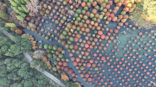 湖州换上初冬“限定皮肤”