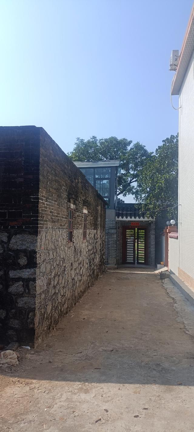 ：：：荔枝树与村：：：