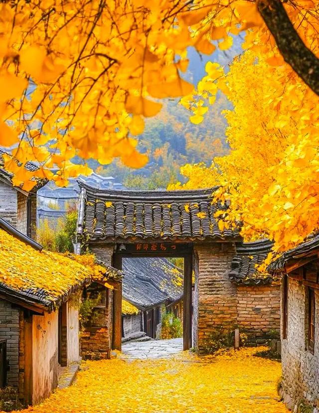 银杏黄金周倒计时!6大秘境+2个宝藏地的终极玩法,错过再等一年