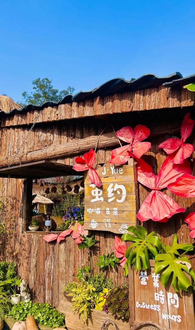 这个冬日去哪儿玩？看这篇就够啦！