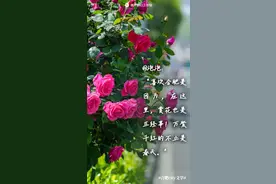 在合肥，有985.3万种美好图片