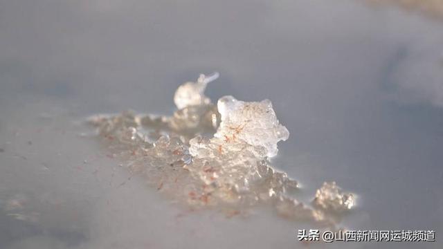 晶莹剔透如诗画 盐池冬日“硝花”美景上线