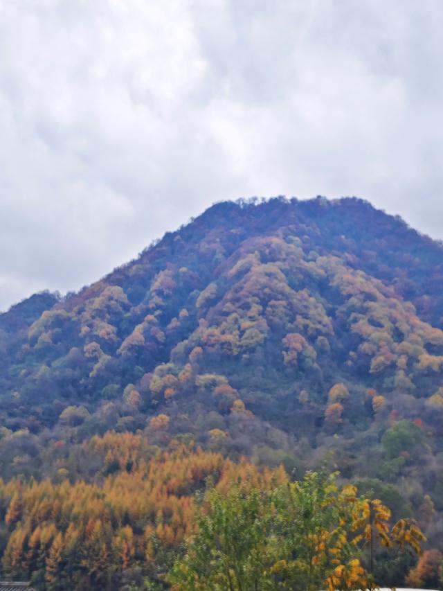 南行漫记：汉中南郑区到巴中恩阳区，9小时233公里的行走路书