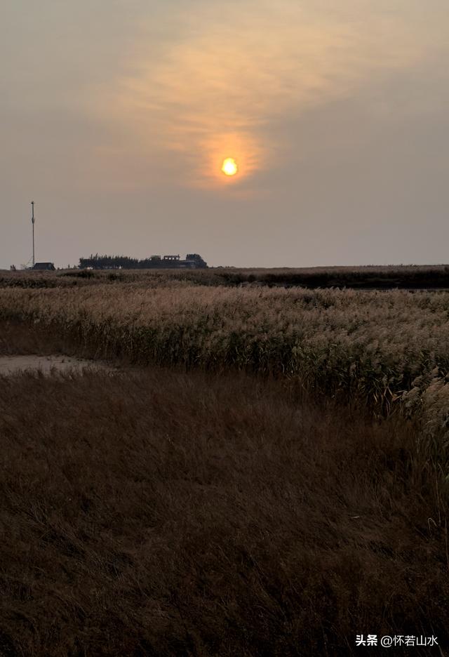 2025辽宁赏秋之旅日记(6)——到辽河口中国最北海岸线看日出 观鸟