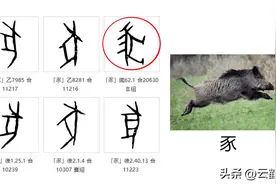 汉字探源：豕彘豖如何区别图片