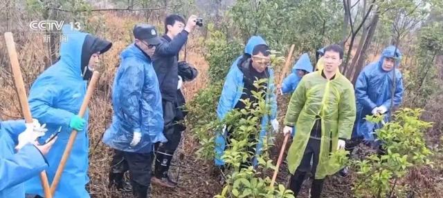 男子盗300万黄金，逃跑时把手机遗落在现场：警方凭狗叫声起获