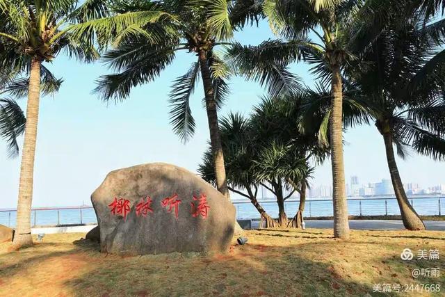 海口旅游全攻略:南洋风情与热带滨海度假天堂