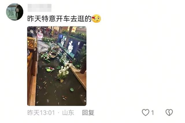 山东某高速服务区突然爆火！比景区的人还多！网友：原本只想来上个厕所，结果花出去500多，一进门我都懵了