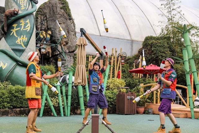 香港海洋公园，缆车俯瞰山海，探梦幻水族馆，假日亲子游的好去处