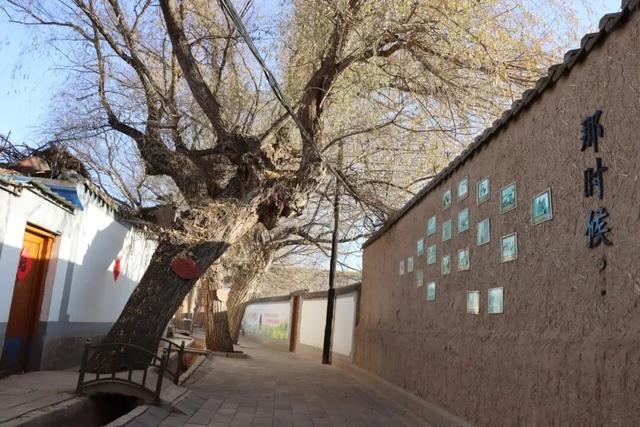 【白银文旅】冬日顾家善：溯洄旧时光，寻一味静谧欢愉