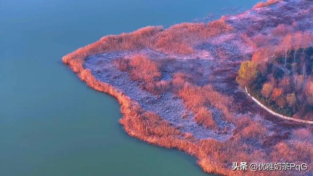 大雪至！少康湖这处秘境，拍照超出片