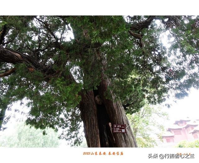 山东行游影记（322）—泰安岱庙（十八）