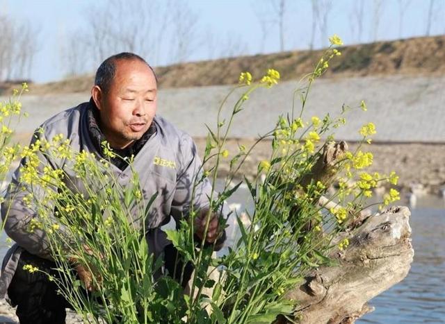 首次发现不到10只！湖北老汉当成鸭子养，14年后才知道是保护动物