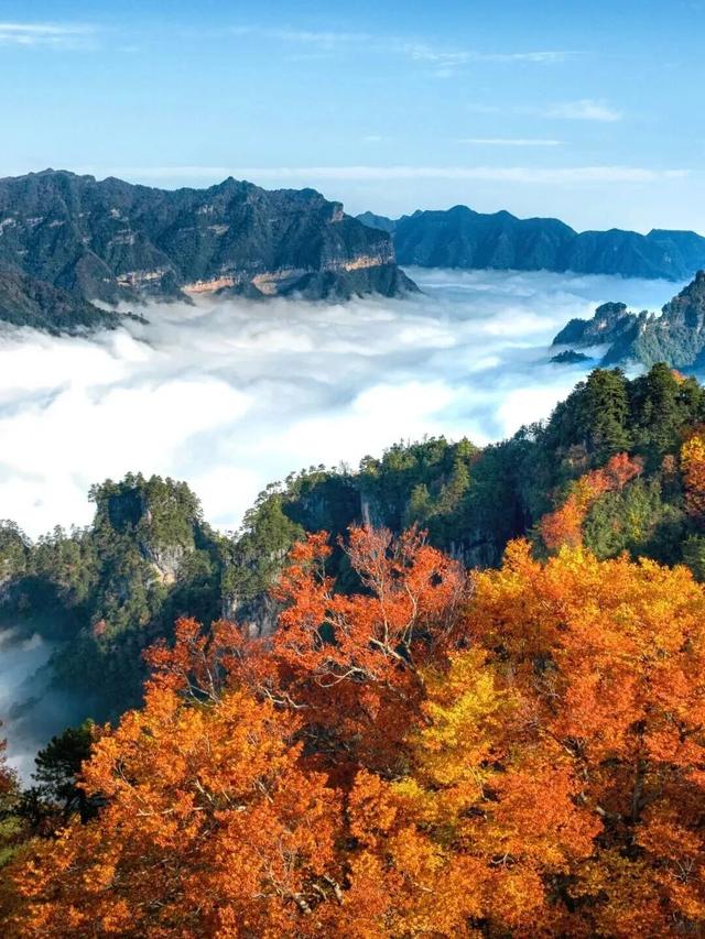 追了光雾山的红叶，这个秋天没白过！