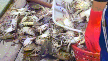 这么近那么鲜！快来南通吃海鲜！