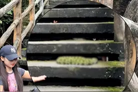 无知！女生遇毒蛇“莽山烙铁头”上前合影，网友评论区炸锅了！图片