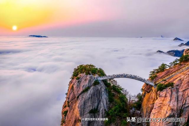 暴雨天，武汉这里排长队！