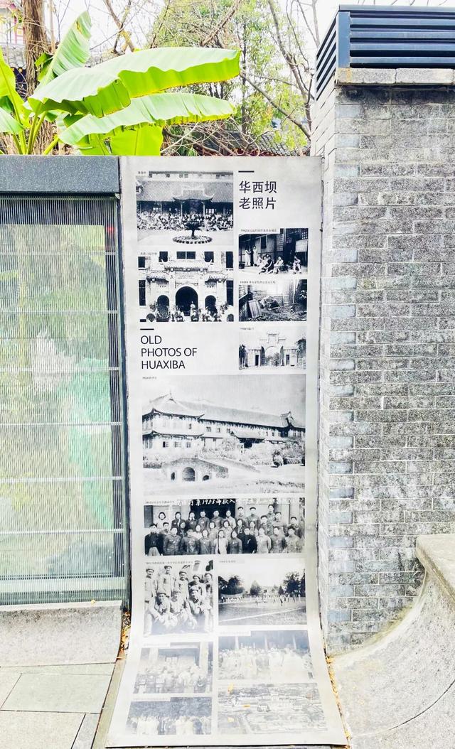 发现·公园城市 | 回家路上的露天“博物馆”