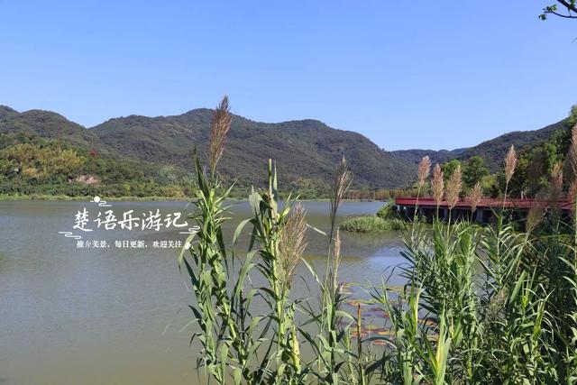 浙江绍兴少有人来的湖泊，景观步道被红杉掩映，平日秀丽秋色更美
