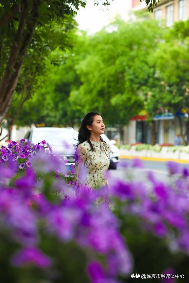 临夏市：一座把“浪漫”写进马路牙子的城市