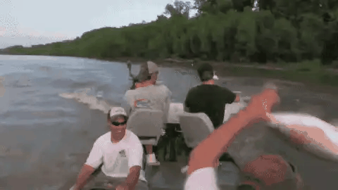 中国鲤鱼在美国“长成猪”，特朗普也坐不住了？真相更荒诞