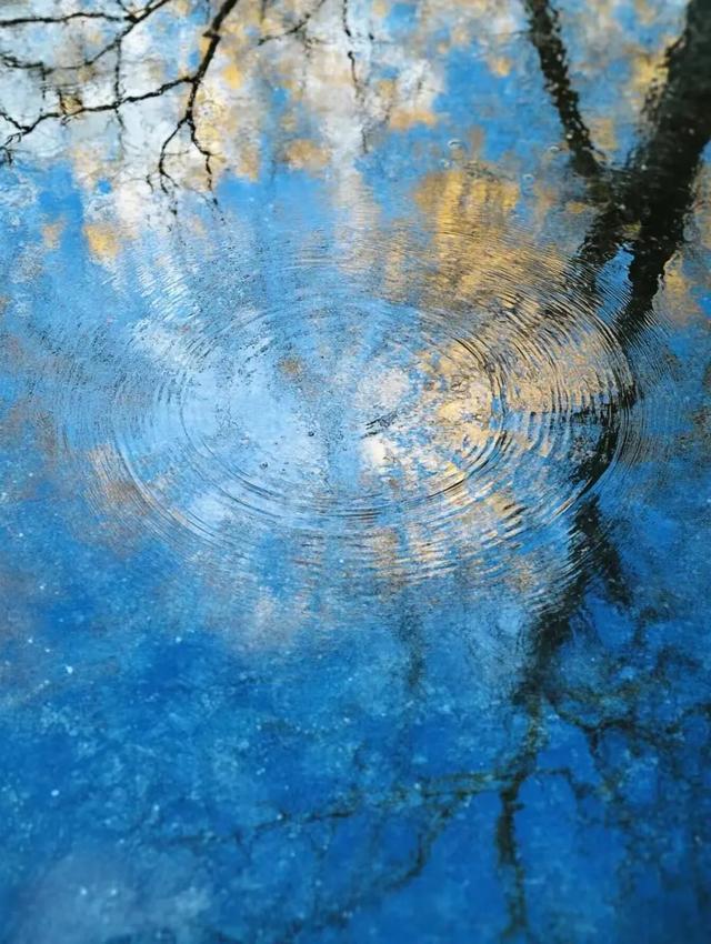 八月蓝海