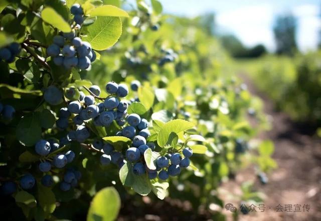 春潮涌动 气象万千丨铜炉薪火照三绛 花海温泉醉黎溪