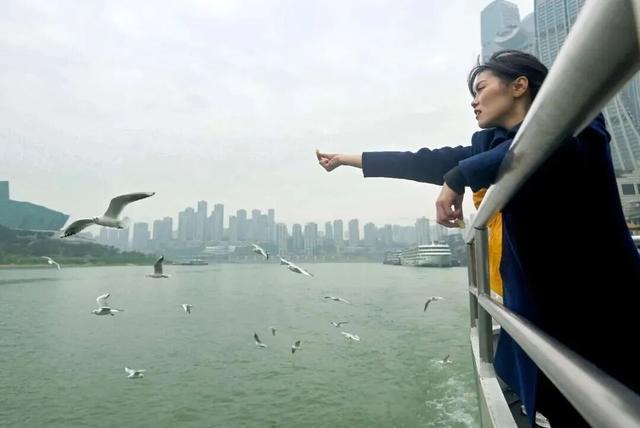 不用去云南了！在重庆就能“鸥”遇🤩