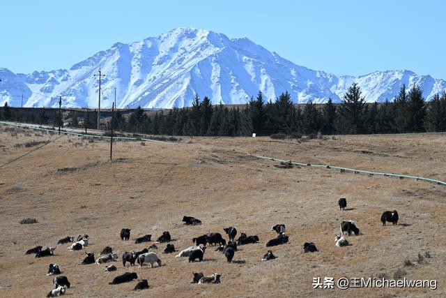 古意秋风三万里（D20）-从临泽县到祁连县