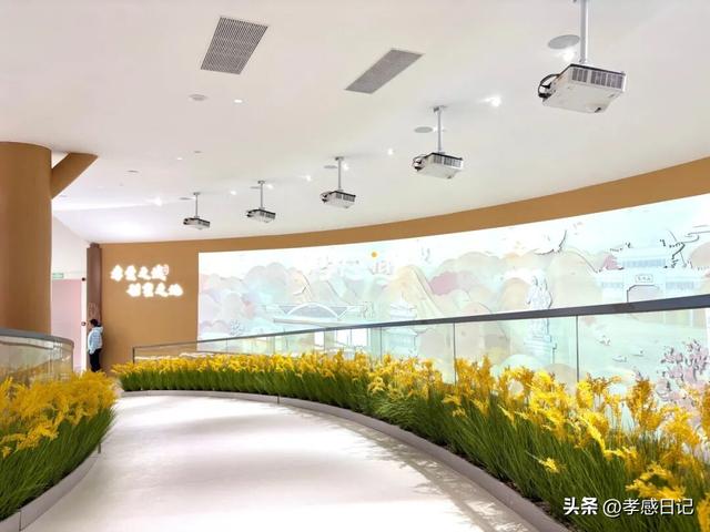 免费开放！现场实探！孝感网红地标内部大曝光→