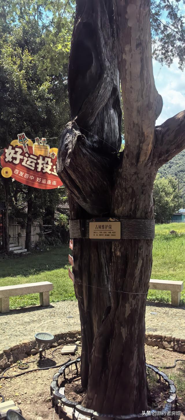 宁海雁苍山佛手台