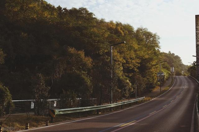 石象路银杏黄了！秋日南京必走的几条经典路线